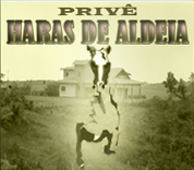 Privê Haras de Aldeia